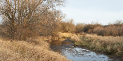 West Edge of the Oxbow 
