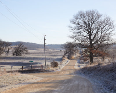 Morning Frost at Steele Road 