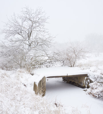 Field Bridge in Winter 