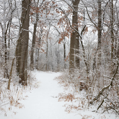 Bluff Path