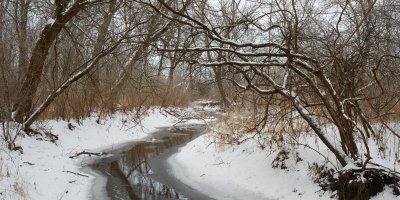 Creek at Lone Grove 2021