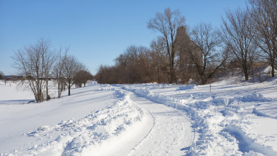 Plowed Path at the Park 