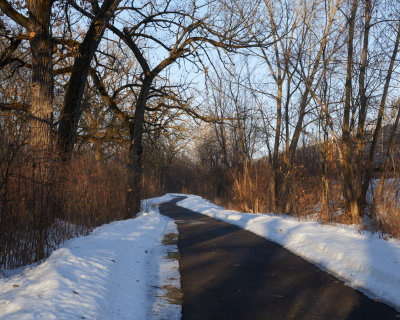 Trail and Track 