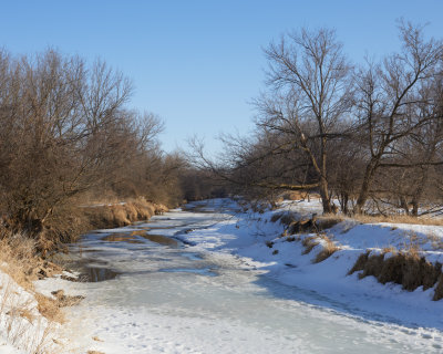 Late Winter Ice 