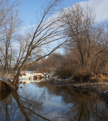 Late Winter Kingsbury 