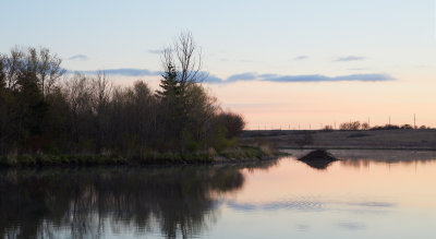 Wetland at Dawn 