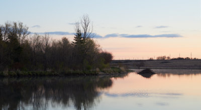 Wetland at Dawn