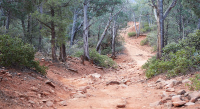 Section of Brins Mesa Trail 