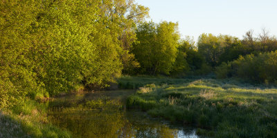 Springtime at the Oxbow 