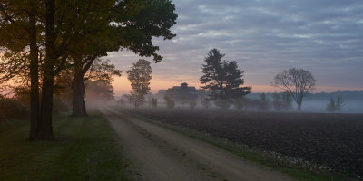 Morning Ground Fog 