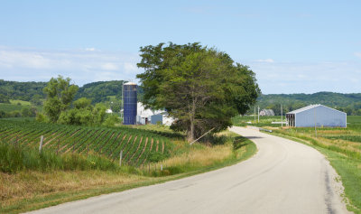 Hannover Road and Bean Field 