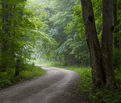 Exit Road