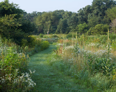 Prairie Path 