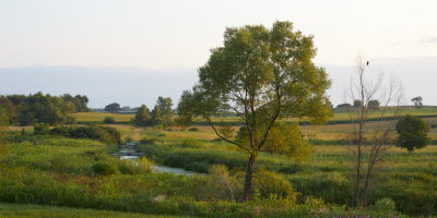 Battle Creek at Daybreak 