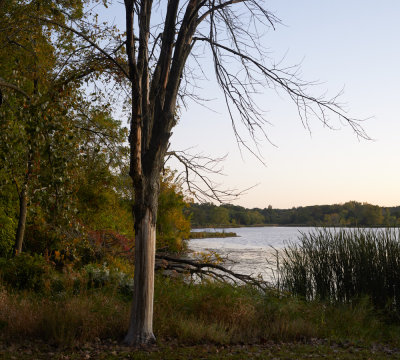 Shoreline at Dawn 