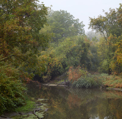 Early Autumn along the Kish 