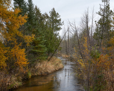 South Branch Boyne River 2021