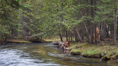 Graves Crossing 