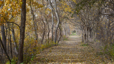 End of the Trail 