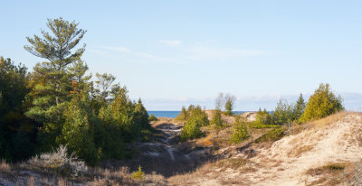 Among the Dunes 