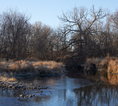 Lee Slough Creek Confluence 