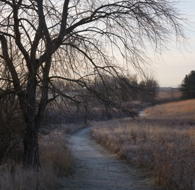 Light on the Trail 