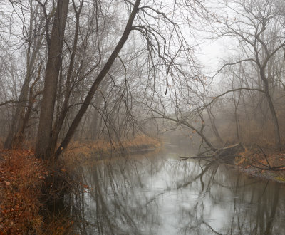 Winter Fog and Somonauk Creek
