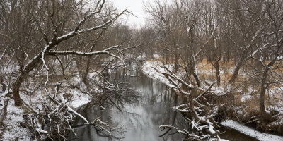 Leaf River 