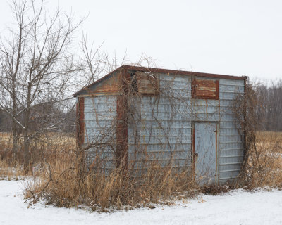 Crib in the Snow 