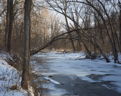 Thin Ice on Somonauk Creek 