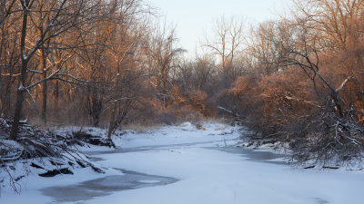 Warm Light on a Cold Morning 