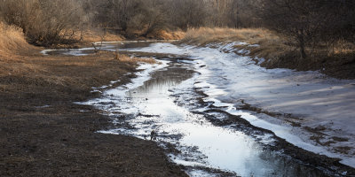 Oxbow Mud and Ice 