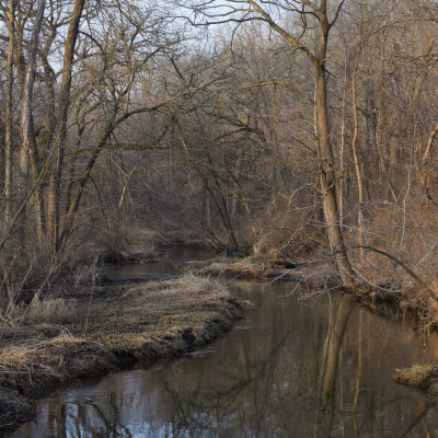 Old Mill Race