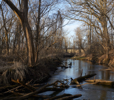 Tangled Owens Creek
