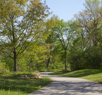 Winding Road 