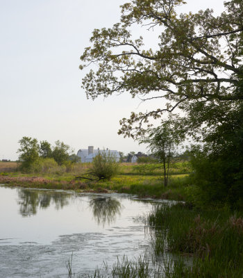 Haines Creek Wetland Pool