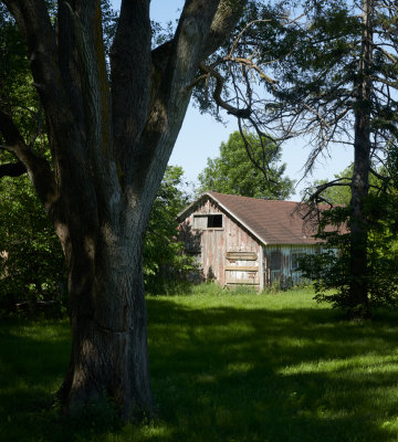 Backyard Barn 