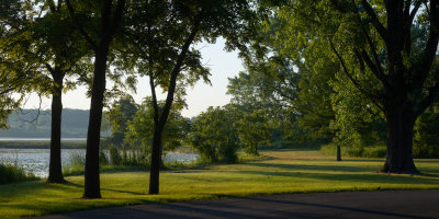 Lakeside Summer Shadows 