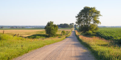 July Fields along Breyers Road 