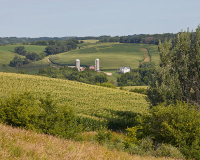 Fields of Corn 