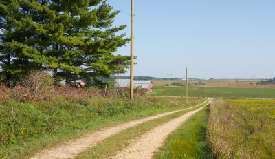 Farm Lane 