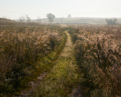 Prairie Path and Morning Dew 