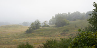 Hillside Mist 