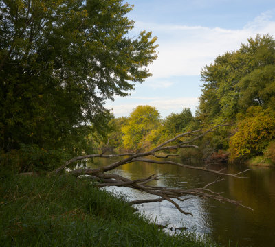 Late Summer South Branch 