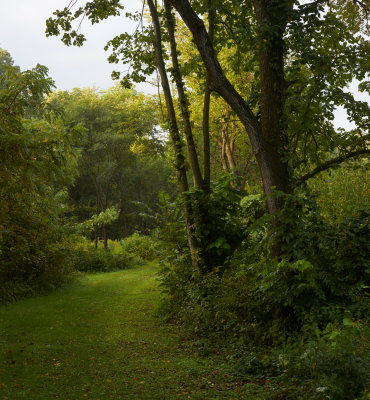 Mill Race Trail