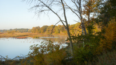 Autumn Morning at Nygren Wetland 