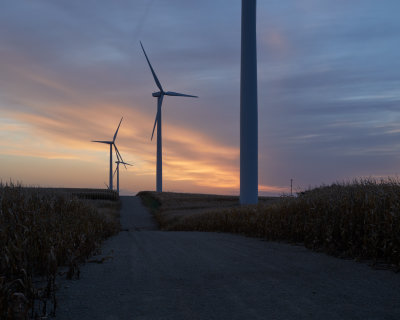 Turbines at Dawn 