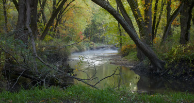 Autumn Meander 