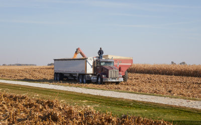 Loading Corn from Cart to Truck 