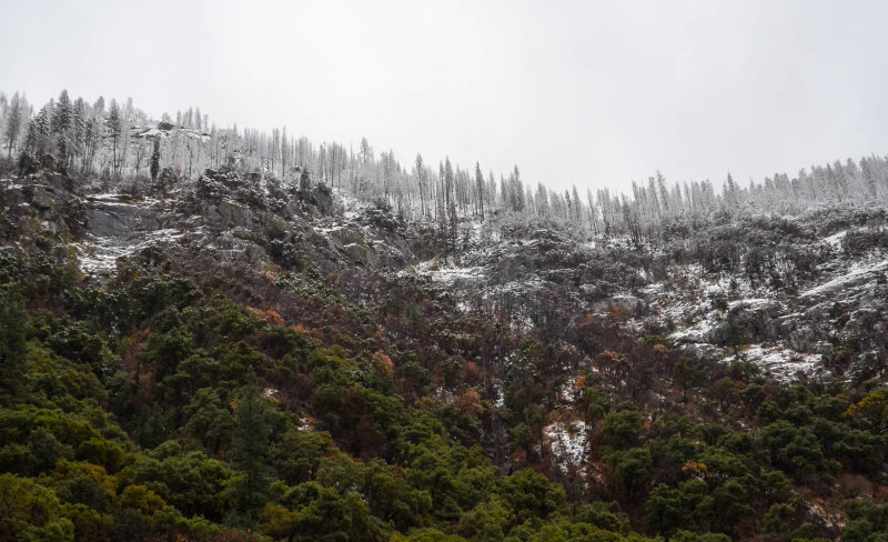 DSC_8856 MLR2019.jpg